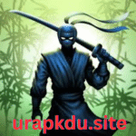 Ninja Warrior APK
